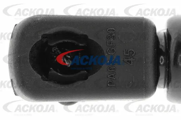 Gas Spring, boot/cargo area