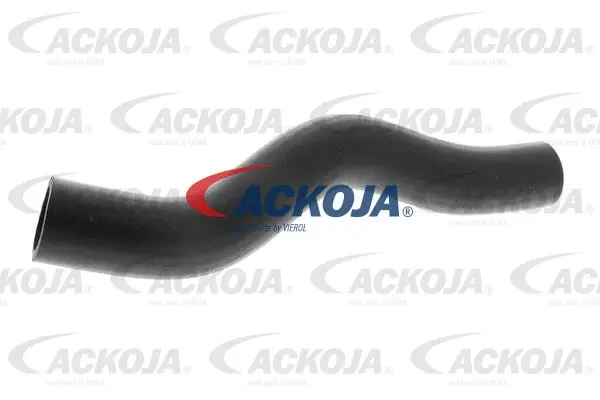 Radiator Hose (A26-1601)