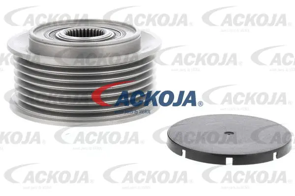 Alternator Freewheel Clutch