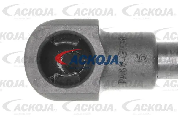 Gas Spring, boot/cargo area