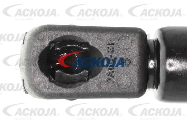 Gas Spring, boot/cargo area