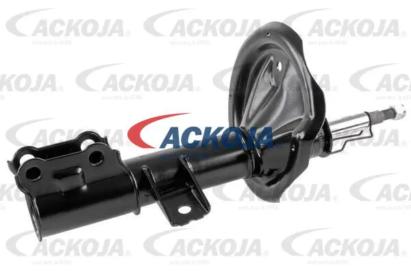 Shock Absorber (A52-1537)