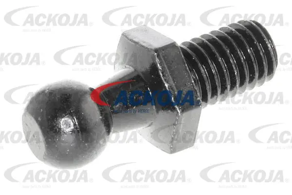 Gas Spring, boot/cargo area