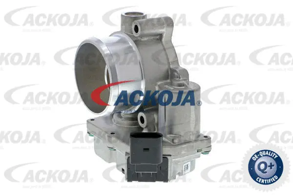 Throttle Body (A52-81-0002)
