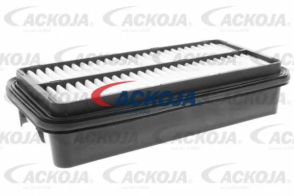 Air Filter (A70-0265)