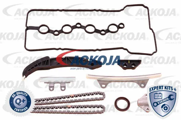 Timing Chain Kit (A52-10002)