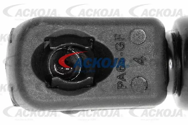 Gas Spring, boot/cargo area