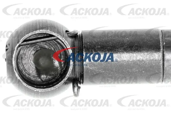 Gas Spring, boot/cargo area