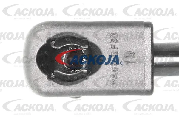 Gas Spring, boot/cargo area