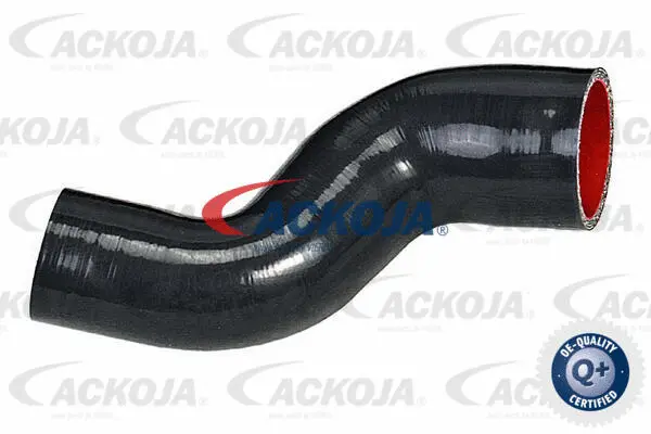 Charge Air Hose (A52-0272)