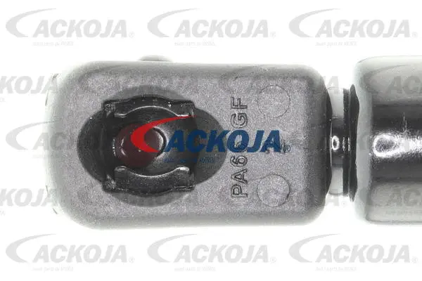 Gas Spring, boot/cargo area