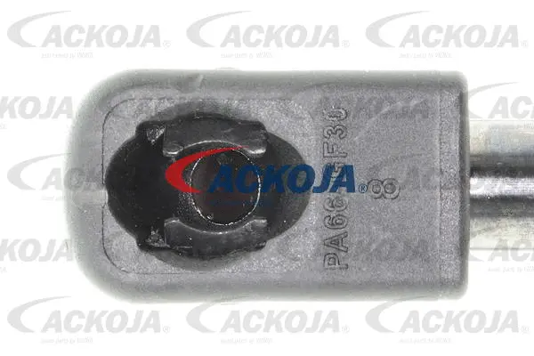 Gas Spring, boot/cargo area