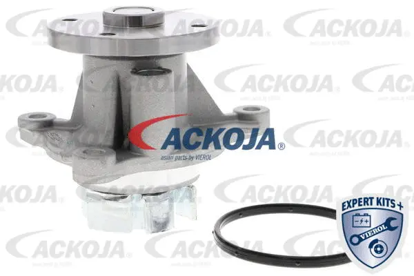 Water Pump, engine cooling (A53-50010)