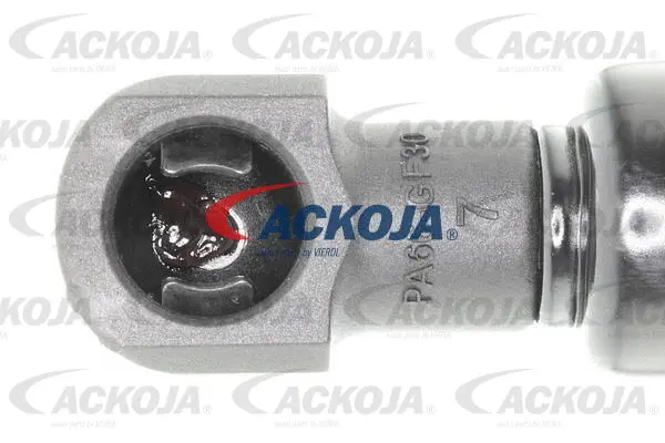 Gas Spring, boot/cargo area