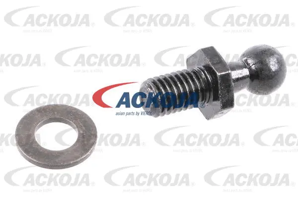 Gas Spring, boot/cargo area