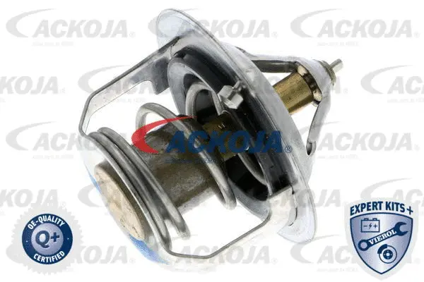 Thermostat, coolant (A53-99-0001)