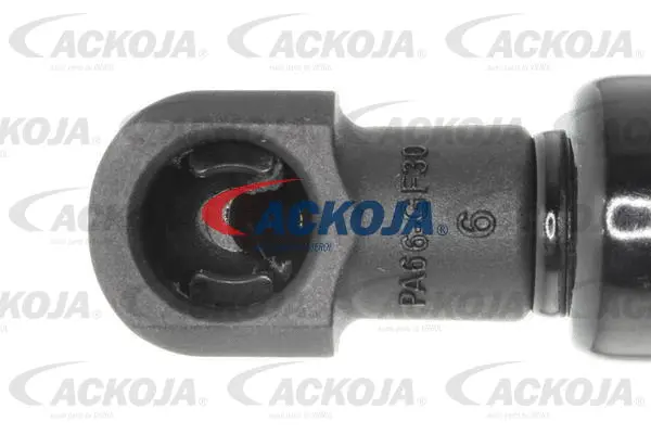 Gas Spring, boot/cargo area