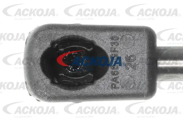 Gas Spring, boot/cargo area