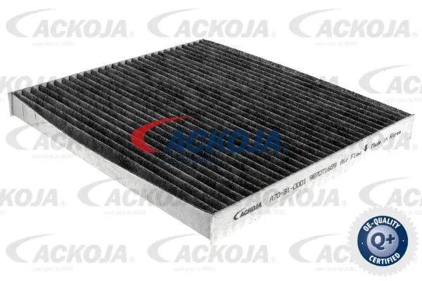 Filter, cabin air (A70-31-0001)