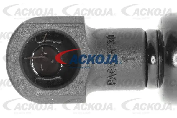 Gas Spring, boot/cargo area