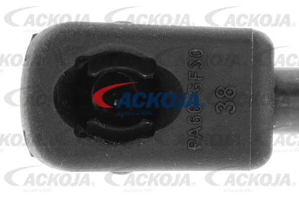 Gas Spring, boot/cargo area