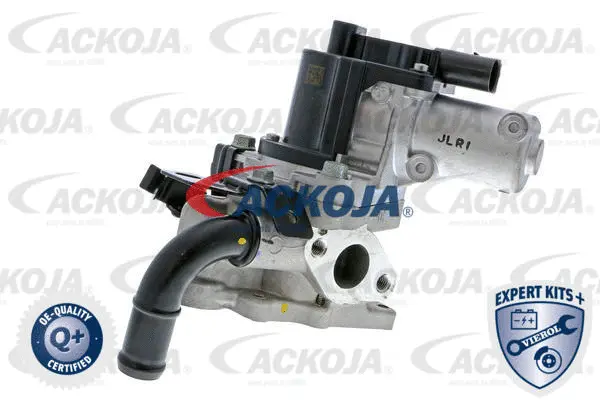 EGR Valve (A52-63-0013)