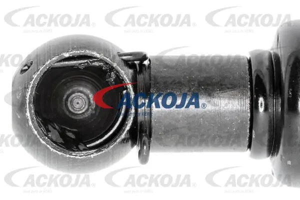 Gas Spring, boot/cargo area