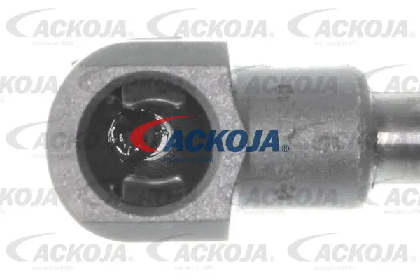 Gas Spring, boot/cargo area