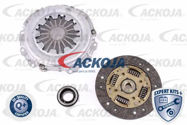 Clutch Kit (A51-0007)