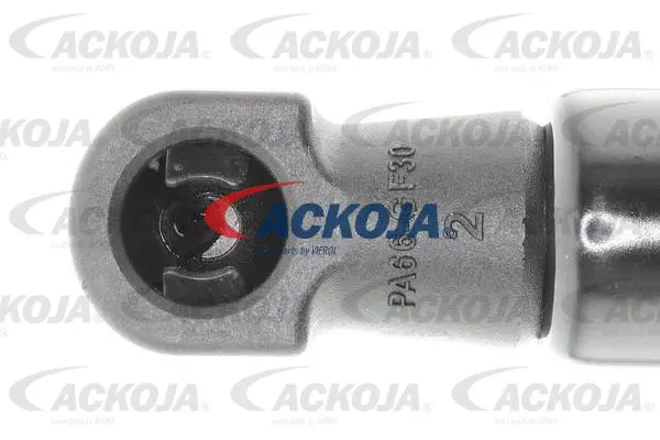 Gas Spring, boot/cargo area