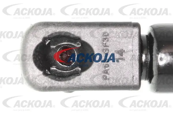 Gas Spring, boot/cargo area