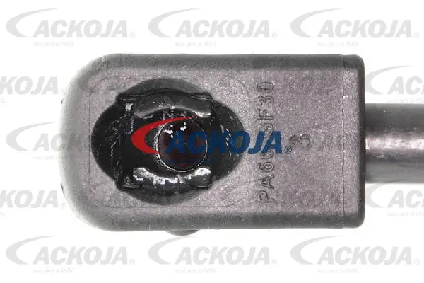 Gas Spring, boot/cargo area