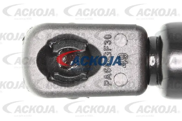 Gas Spring, boot/cargo area