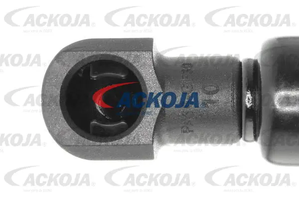 Gas Spring, boot/cargo area