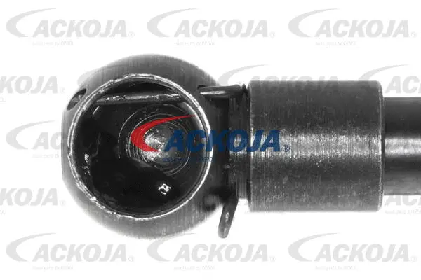 Gas Spring, boot/cargo area