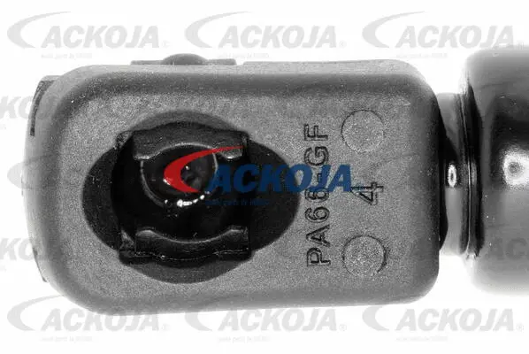 Gas Spring, boot/cargo area