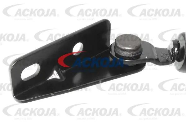 Gas Spring, boot/cargo area