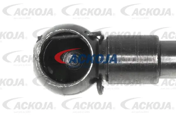 Gas Spring, boot/cargo area