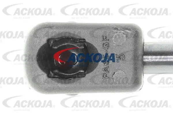 Gas Spring, boot/cargo area