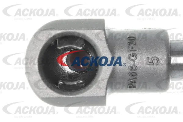 Gas Spring, boot/cargo area