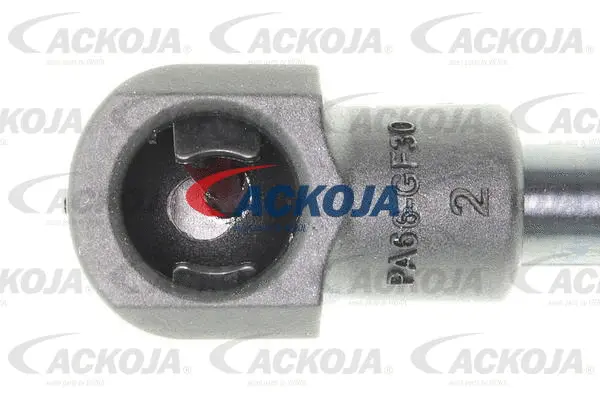 Gas Spring, boot/cargo area