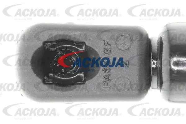 Gas Spring, boot/cargo area