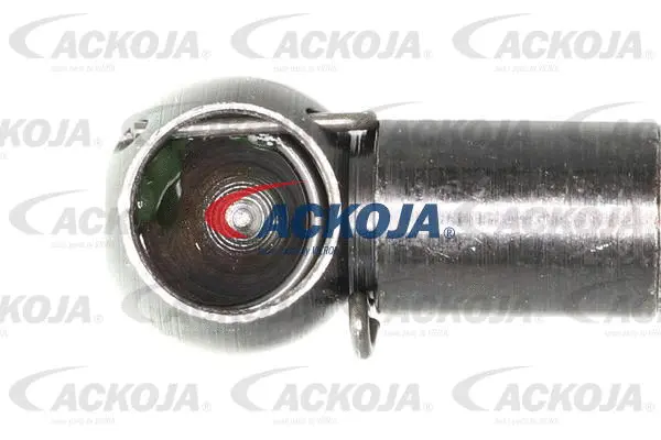 Gas Spring, boot/cargo area