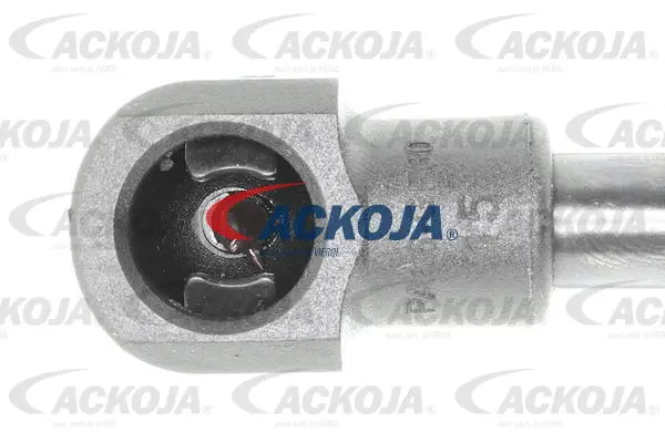 Gas Spring, boot/cargo area