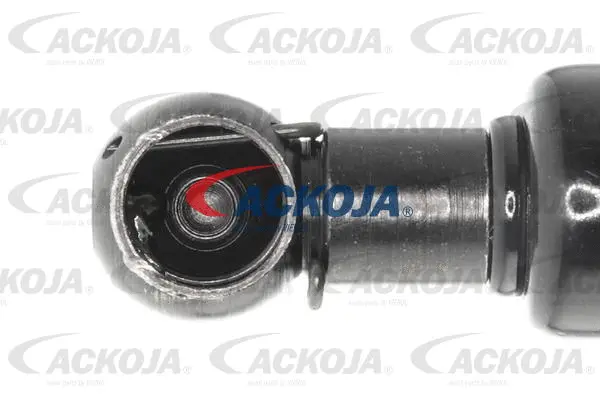 Gas Spring, boot/cargo area