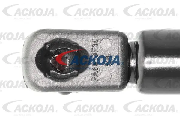 Gas Spring, boot/cargo area