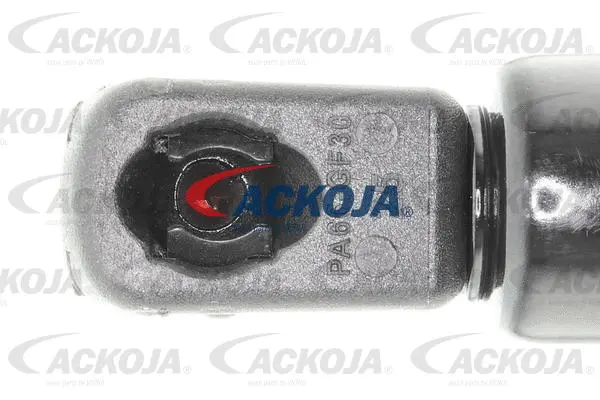 Gas Spring, boot/cargo area