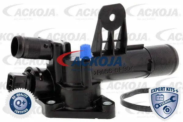 Thermostat, coolant (A38-99-0012)