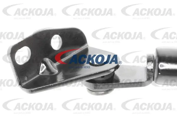 Gas Spring, boot/cargo area