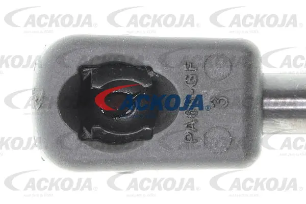 Gas Spring, boot/cargo area